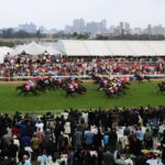 Best Strategies for Betting on Horse Racing